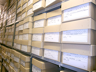 archive boxes stacked in the archaeological store