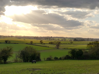 view across fields in suffolk