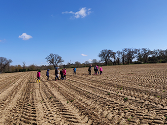 people walking in fieild