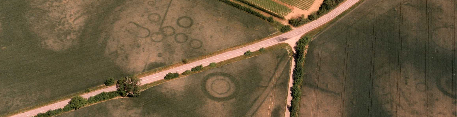 aerial photo of cropmarks showing ring ditches and trackway