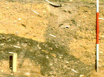 trench showing stratigraphic deposits