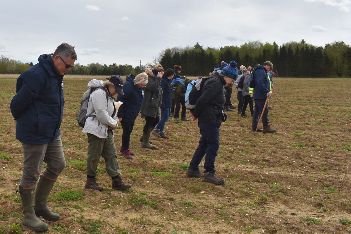 people fieldwalking