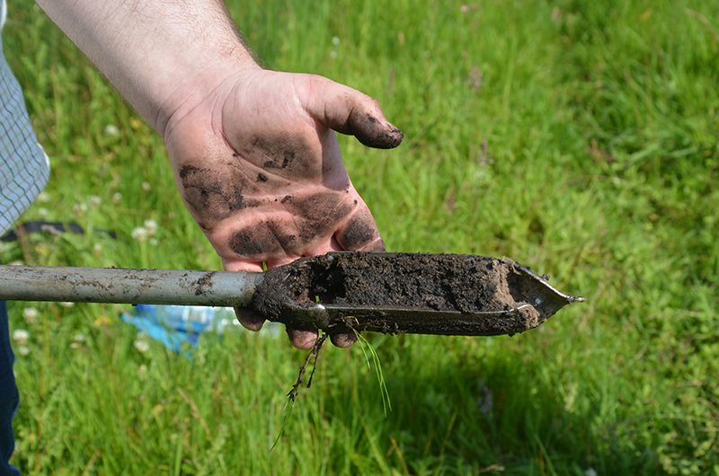 person holding soil sample