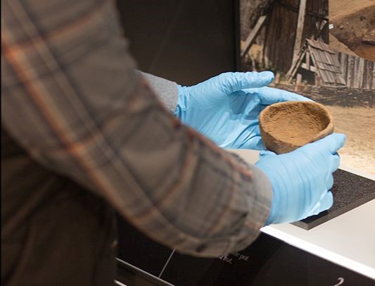 person holding small pot