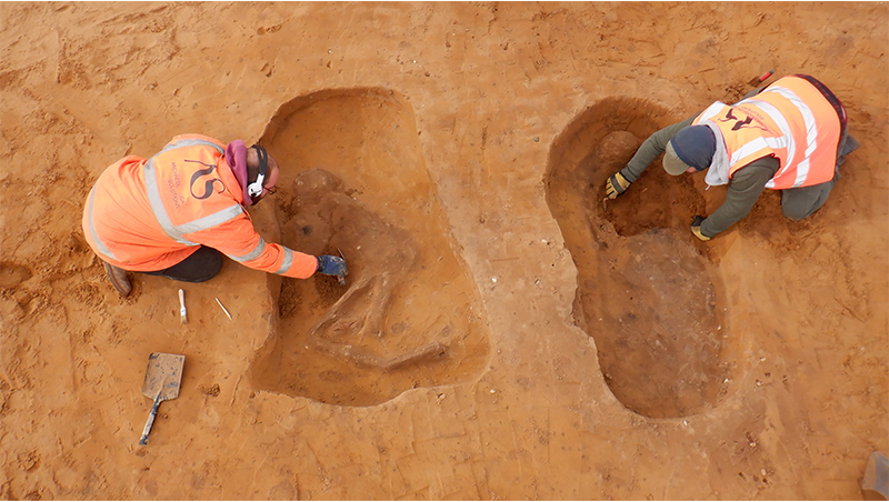 two people wearing orange jackets excavating two graves which have partial skeleton outlines