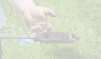 person holding soil sample