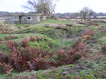 a WWII pillbox and earthworks at North Warren